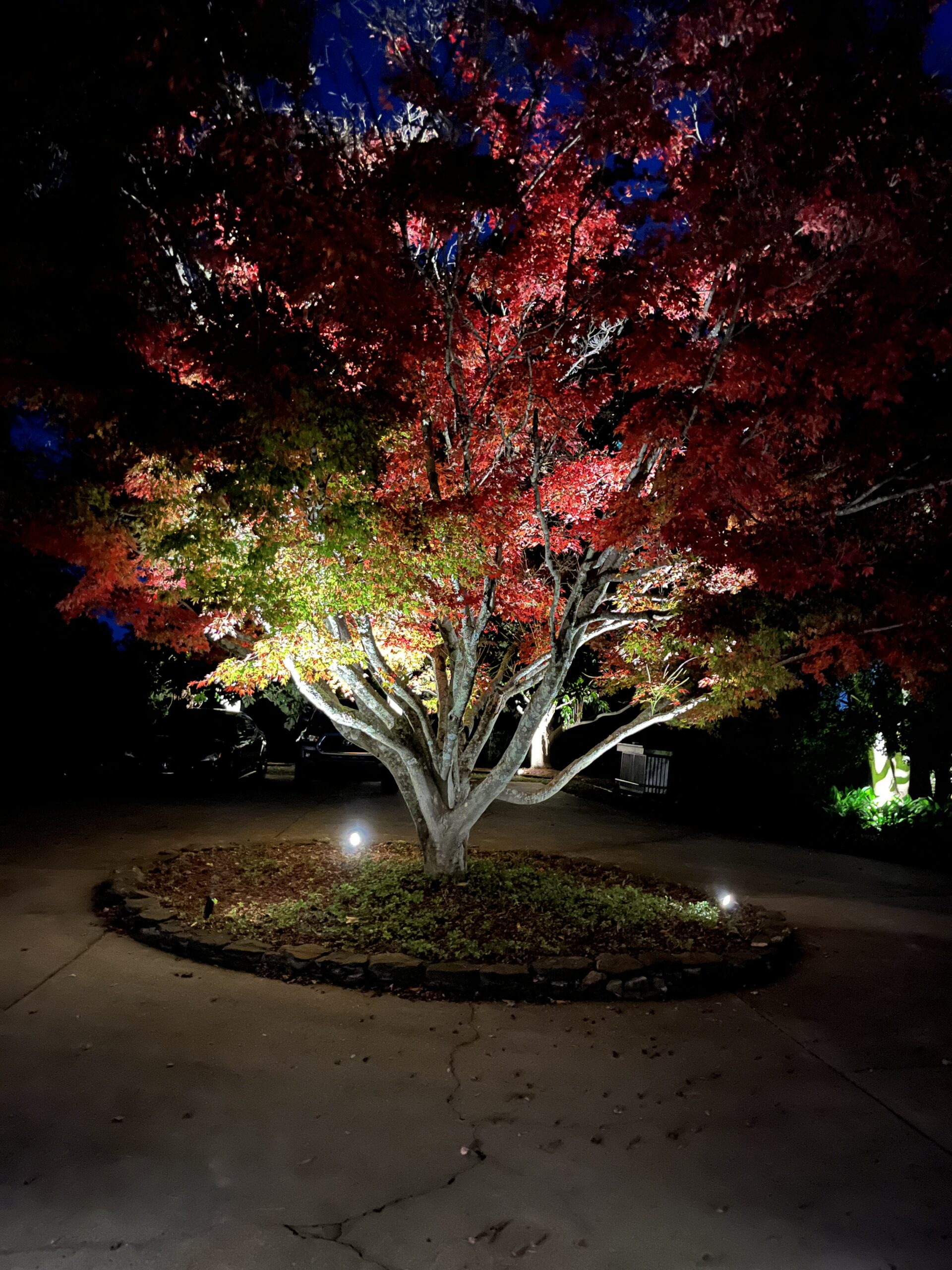 Outdoor Lighting Install in The Cliffs SC with Outdoor Lighting Experts | Luxury Experts